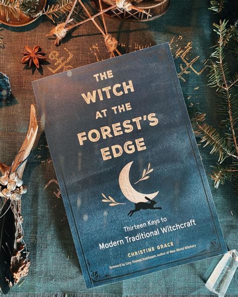 The witch at the forests edgr